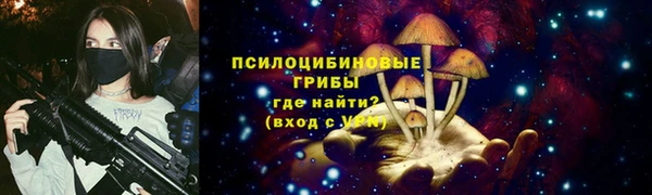 spice Бронницы