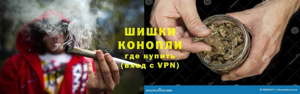 стафф Бородино