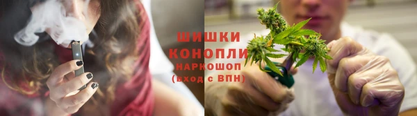 стафф Бородино