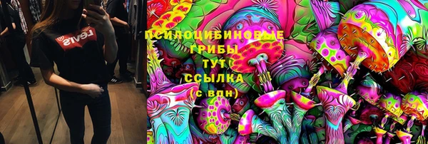 соль ск Бугульма