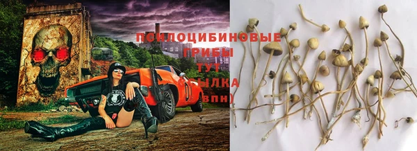 стафф Бородино