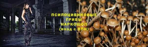spice Бронницы