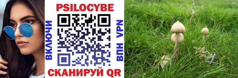 цены   Кирс  Галлюциногенные грибы мухоморы 